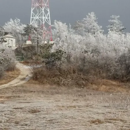 Yellow Dreamhouse ゲストハウス ポストイナ