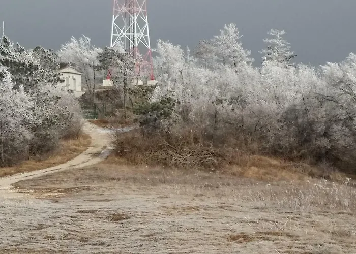 Yellow Dreamhouse Affittacamere Postumia