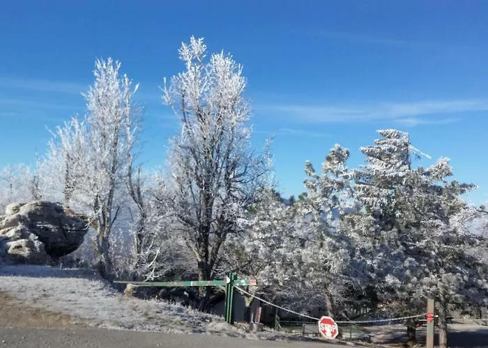 Yellow Dreamhouse Affittacamere