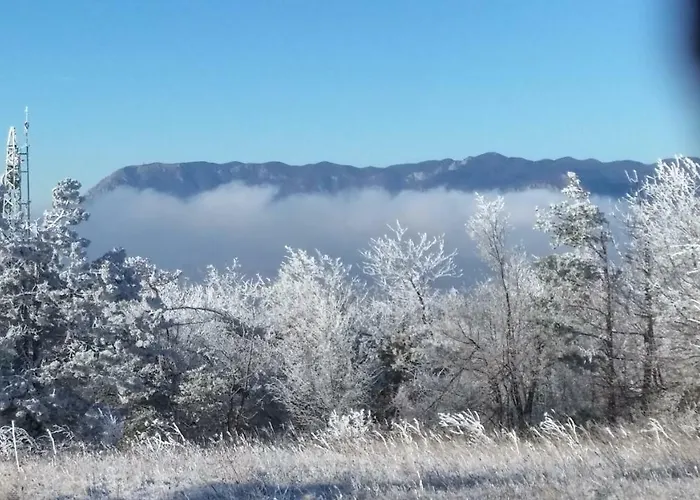 Affittacamere Yellow Dreamhouse Postumia